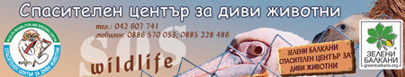 Качена снимка