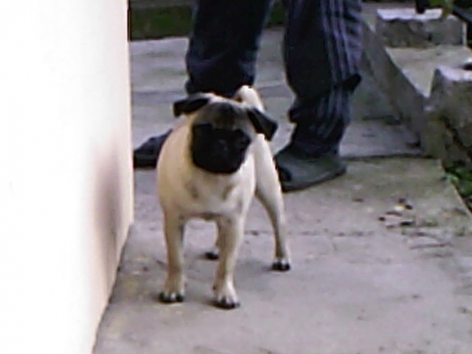 Photo-0111.jpg