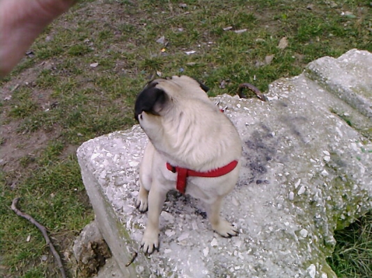 Photo-0137.jpg