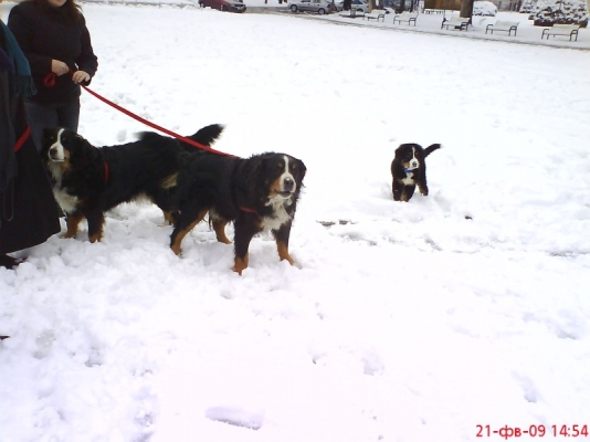 DSC02690.JPG