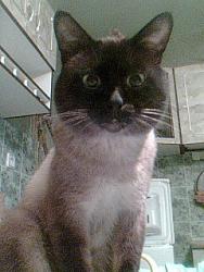 Animal (254).jpg