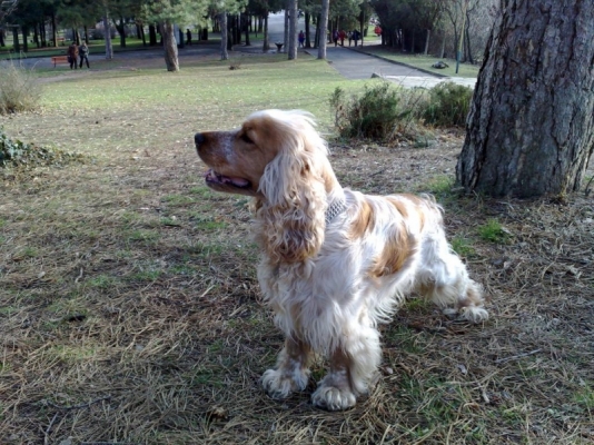 010446478-big.jpg