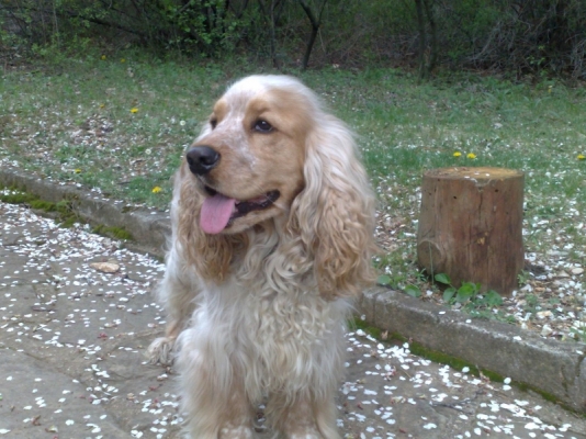 05042008045.jpg