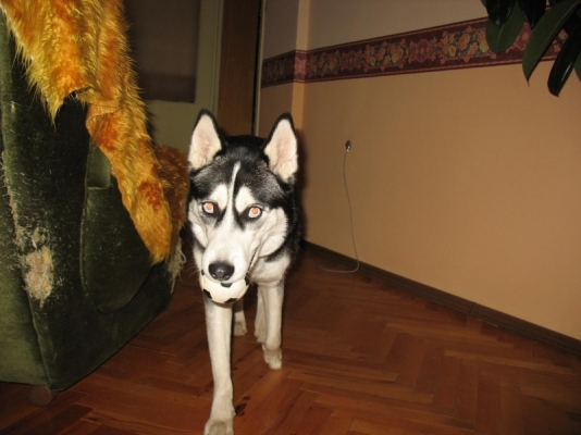 Picture9 008.jpg