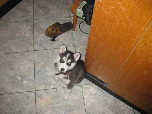 Animal (664).JPG
