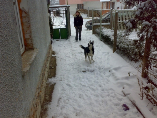 040120091307.jpg