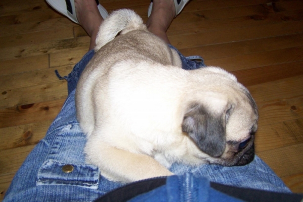 gigo_079.jpg