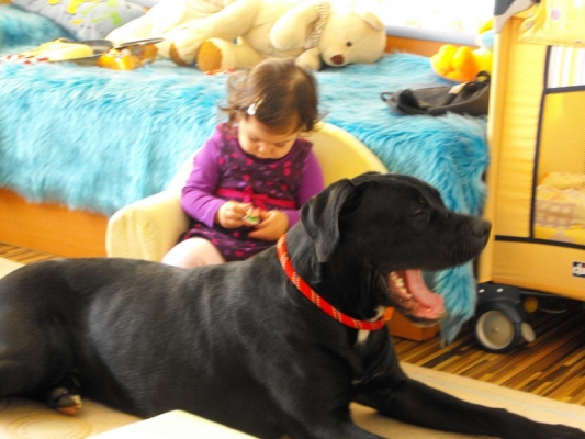 DSCF2505.JPG