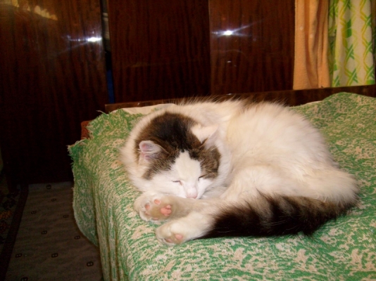 S7300060.JPG