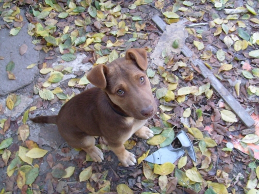 S7300023.JPG