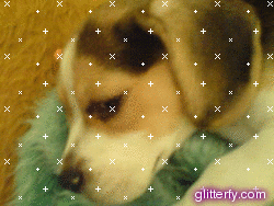 glitterfy143444142Q42.gif