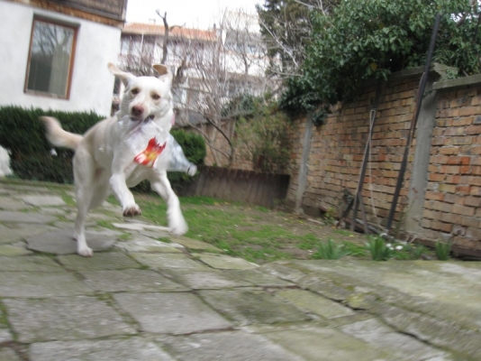 Picture 1254.jpg