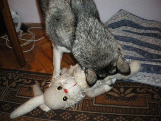 IMGP0766.JPG