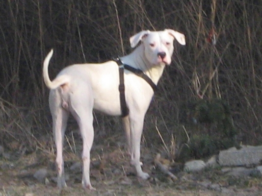Picture 021.jpg