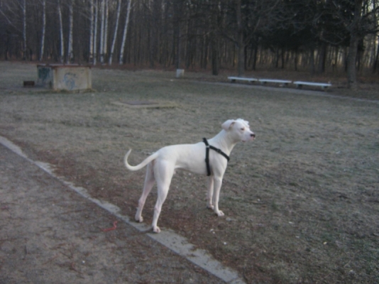 Picture 016.jpg