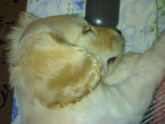 05012009358.jpg