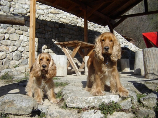DSC02357 (Large).JPG