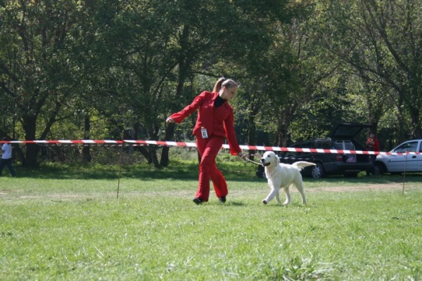 22.JPG