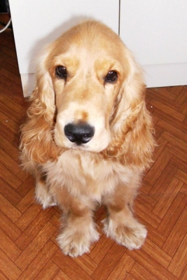 Image002.jpg