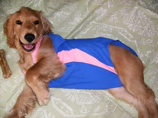 Image005.jpg