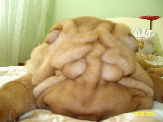 ALIM0108.JPG