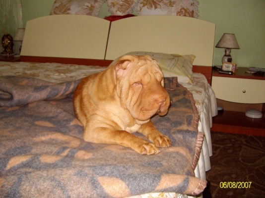 ALIM0002.JPG