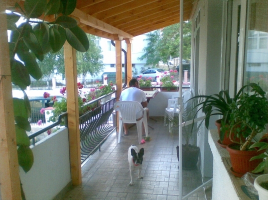 08082008(006).jpg