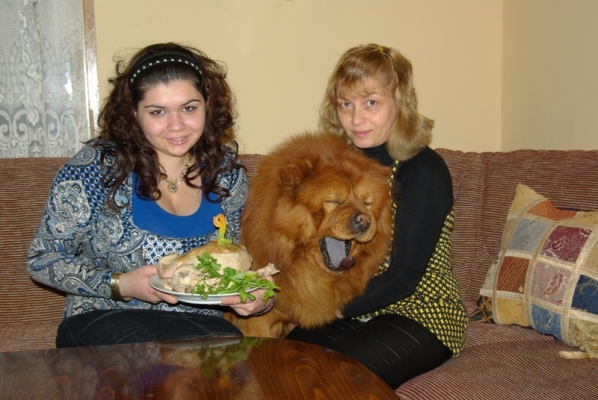 йози 2.jpg