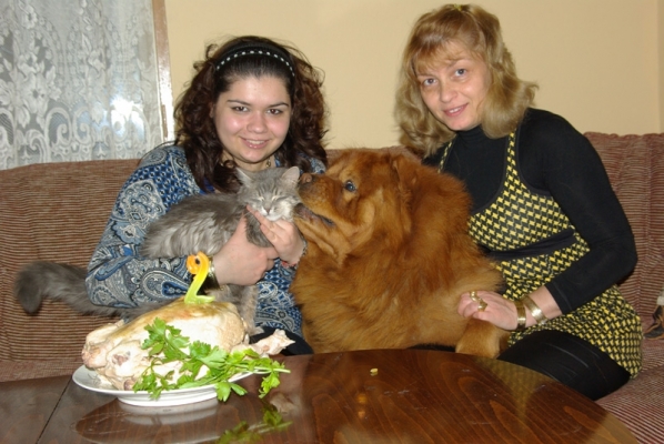 йози 3.jpg
