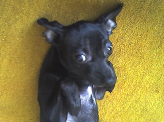 Skip_010507_002.jpg