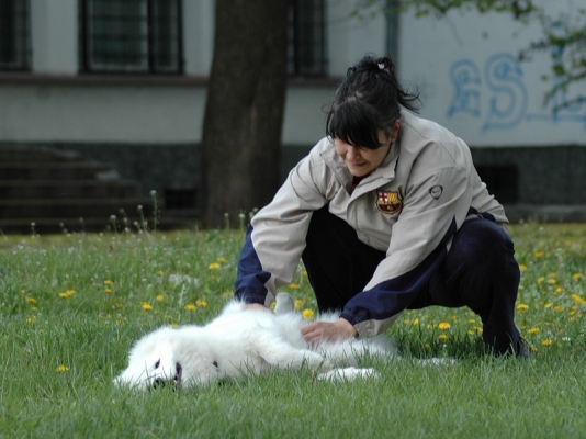 Yuki