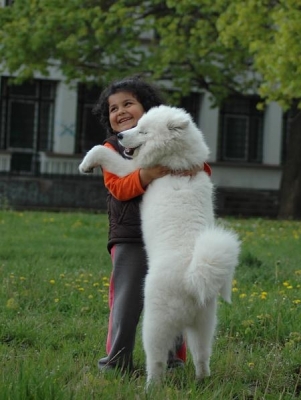 Yuki i Niki
