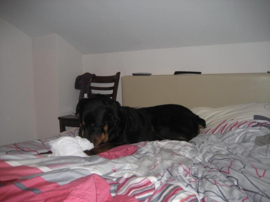 Picture 061.jpg