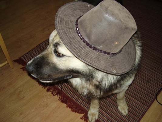 Блек