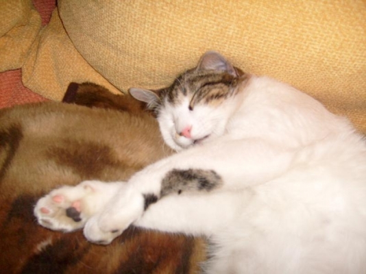 S7300429.JPG