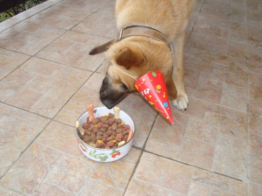 Happy Birthday!