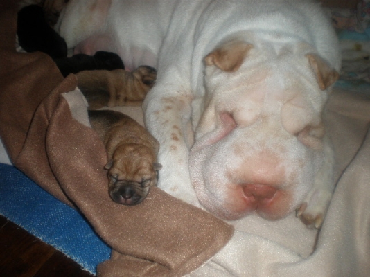 Picture 024.jpg