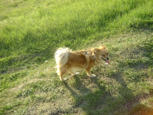 DSC09984.jpg