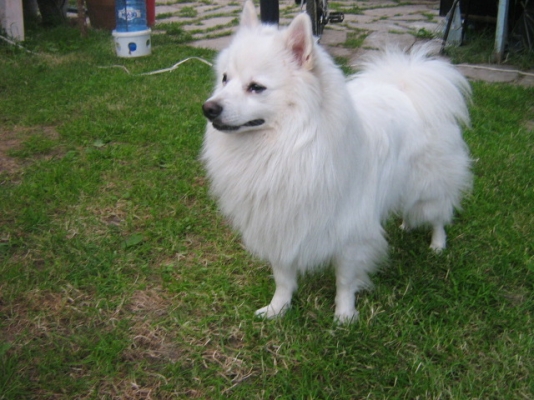 Picture 013.jpg