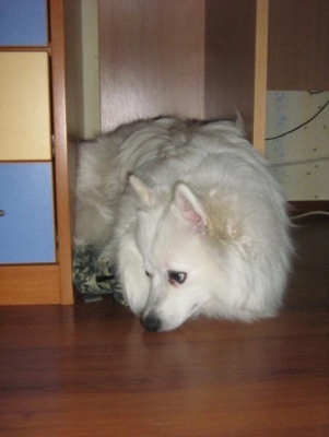 Picture 143.jpg