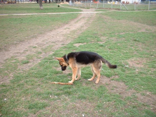 DSCF0004.JPG