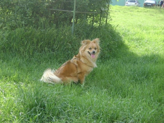 DSC00079.jpg