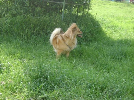 DSC00076.jpg