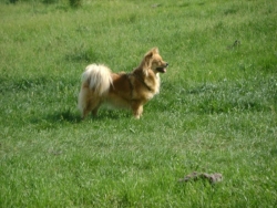 DSC00085.jpg