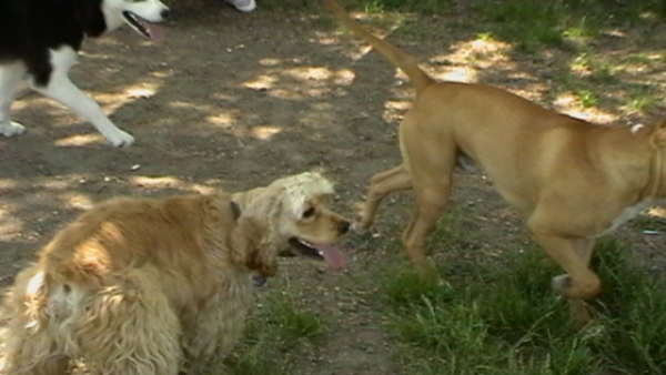 IMGA0047.JPG