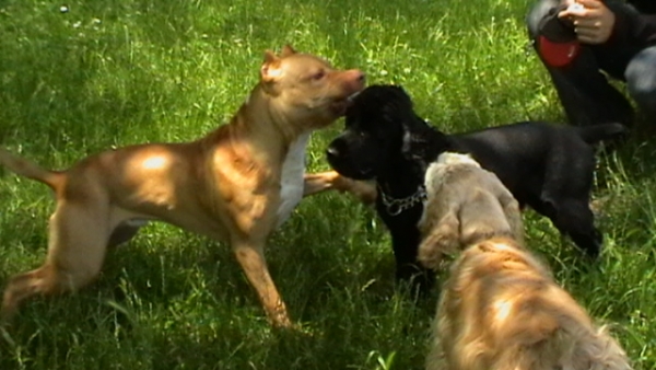 IMGA0051.JPG