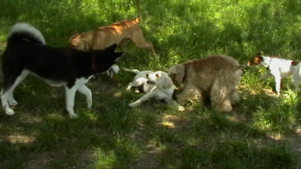 IMGA0072.JPG