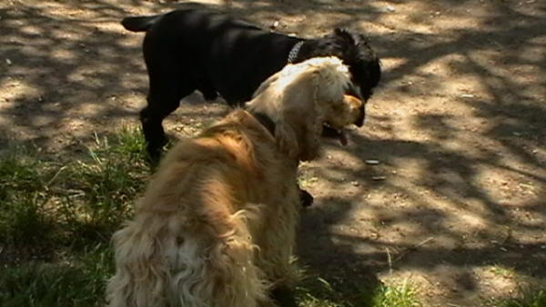 IMGA0041.JPG