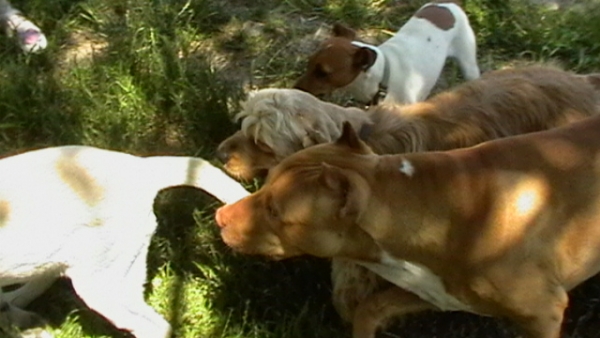 IMGA0079.JPG