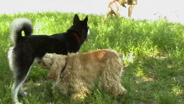 IMGA0092.JPG